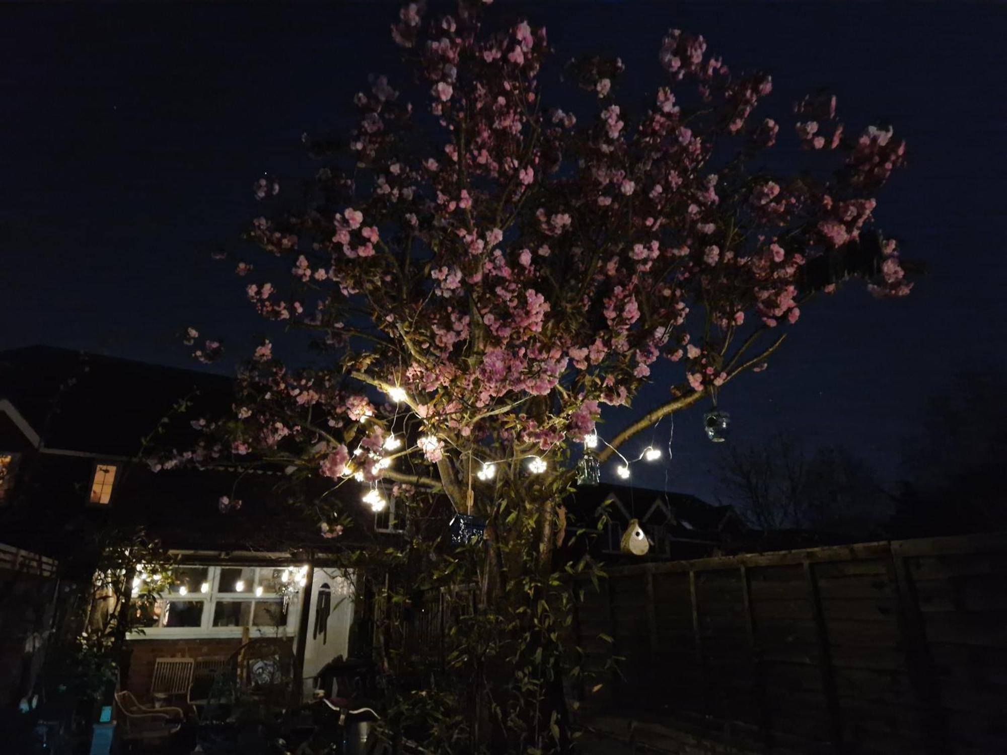 Lotus Pod House Homestay Horsell Extérieur photo