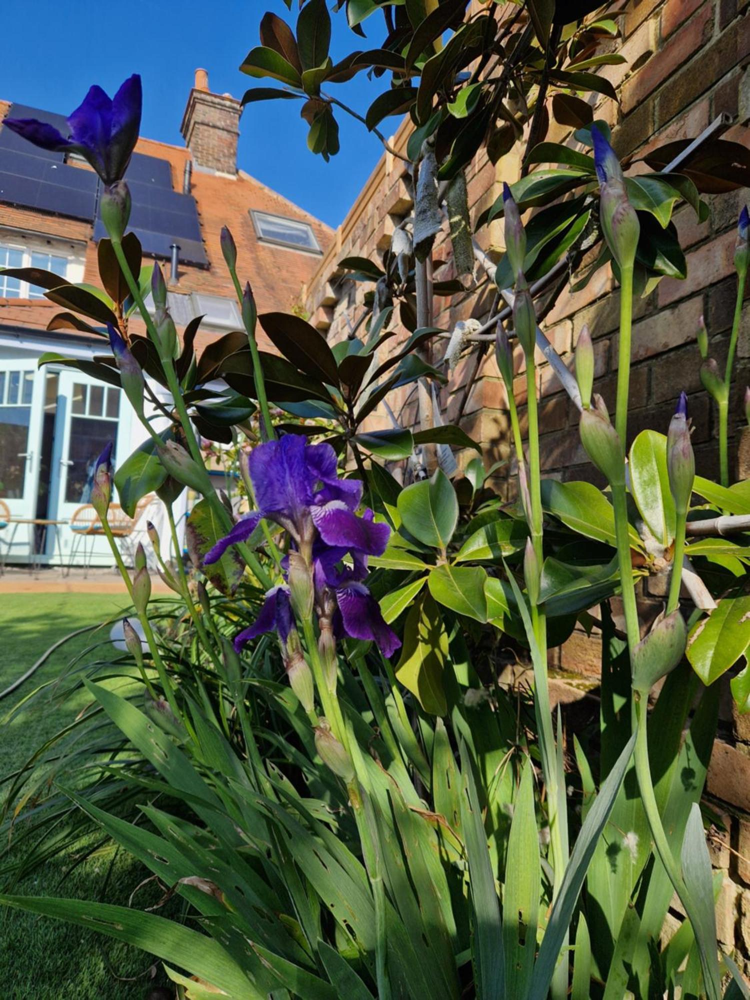 Lotus Pod House Homestay Horsell Extérieur photo